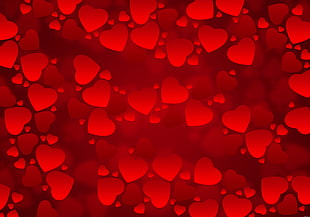 red heart shape lot HD wallpaper