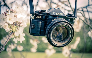 black Canon DSLR camera hanged near white petal flower