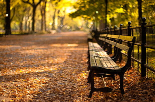 brown outdoor bench surrounded by dried leaves in tilt shift lens photography, central park
