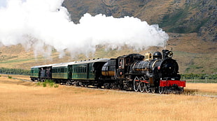 black and green train, train, steam locomotive, smoke