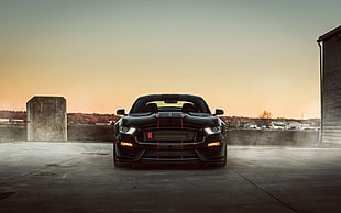 black and red Chevrolet Camaro, car, Ford Mustang, Ford Mustang Shelby, Ford HD wallpaper