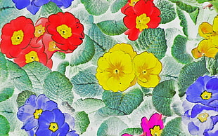 assorted floral textile