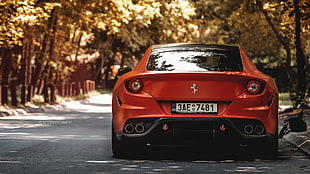red vehicle, car, Ferrari