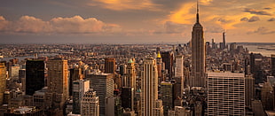 city skyline, New York City, Manhattan, morning, Empire State Building HD wallpaper