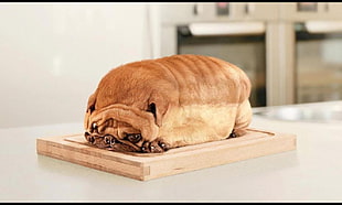 short-coated brown dog on brown wooden chopping board