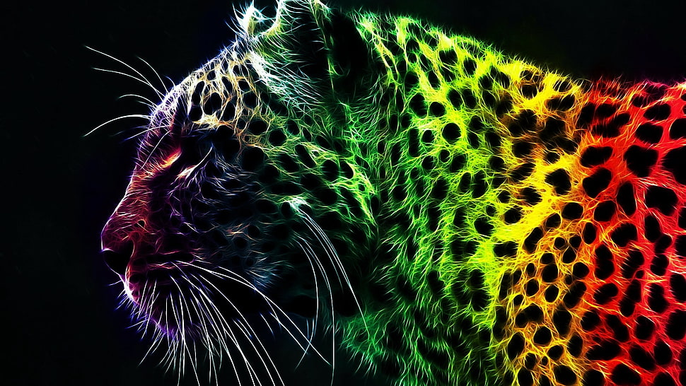 multicolored leopard photo HD wallpaper