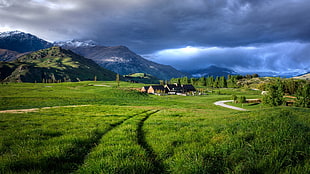 green grass field, landscape, house, field, mountains HD wallpaper