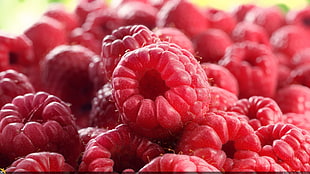 raspberries, raspberries, fruit HD wallpaper