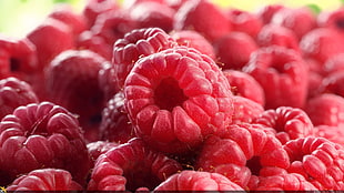 raspberries, raspberries, fruit