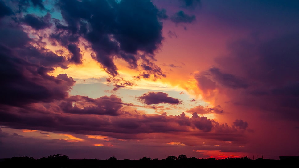 silhouette of trees, sunset HD wallpaper