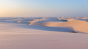desert, photography, sand, desert, nature HD wallpaper