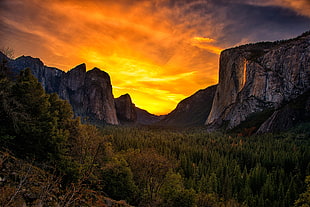 black and brown wooden table, landscape, Yosemite National Park, sunset HD wallpaper