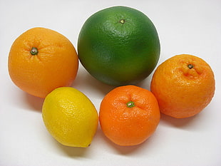 closeup photography of orange fruits HD wallpaper
