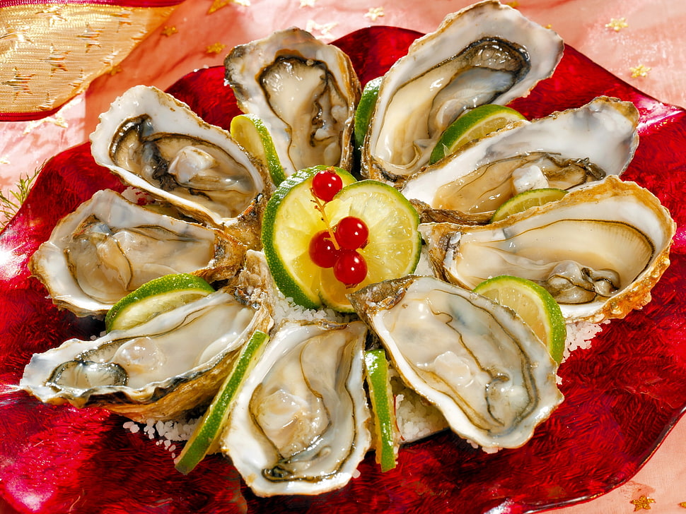 clam shell with lemons HD wallpaper