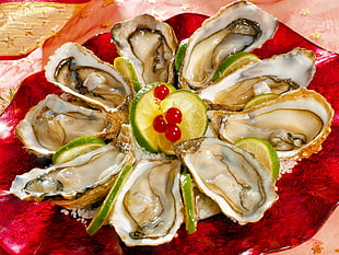 clam shell with lemons