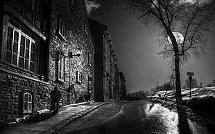 grayscale photo of person walking near building, Moon, trees, street, night
