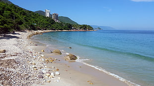 white-sand seashore, beach