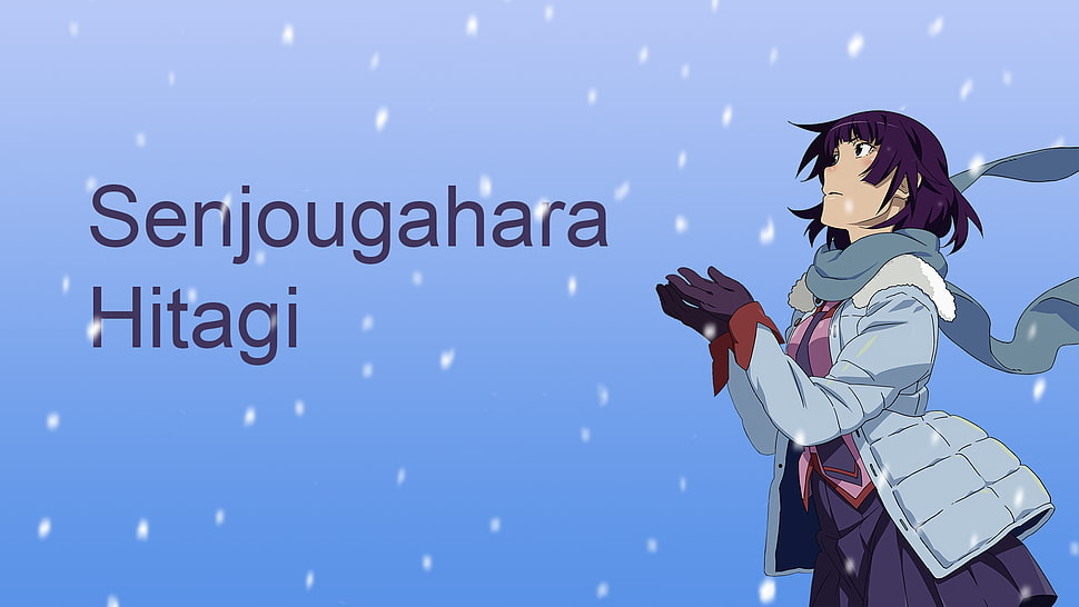 Senjougahara Hitagi from Monogatari illustration, Senjougahara Hitagi, Monogatari Series, typography, anime HD wallpaper