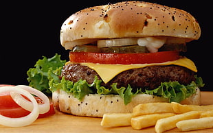 hamburger, food, fast food, meat, Fries HD wallpaper