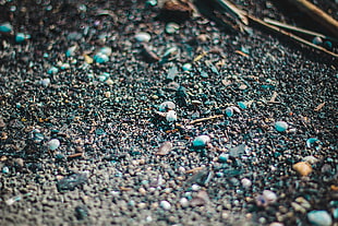gray pebble, nature, Omaha Beach, Latvia, vignette