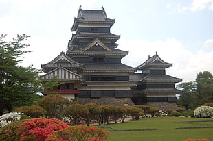 gray Pagoda during daytime