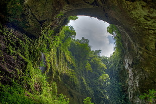 landscape photography of cave surrounded by grass