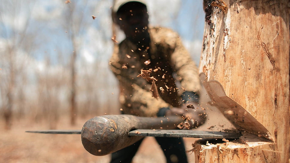 gray ax, men, trees, axes, chopping HD wallpaper