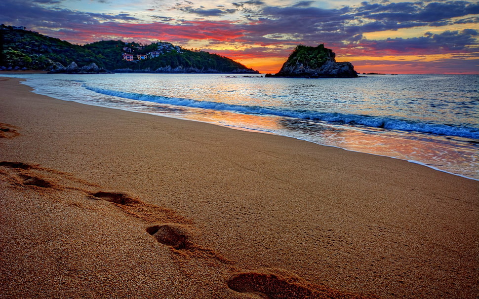 brown seashore, beach HD wallpaper