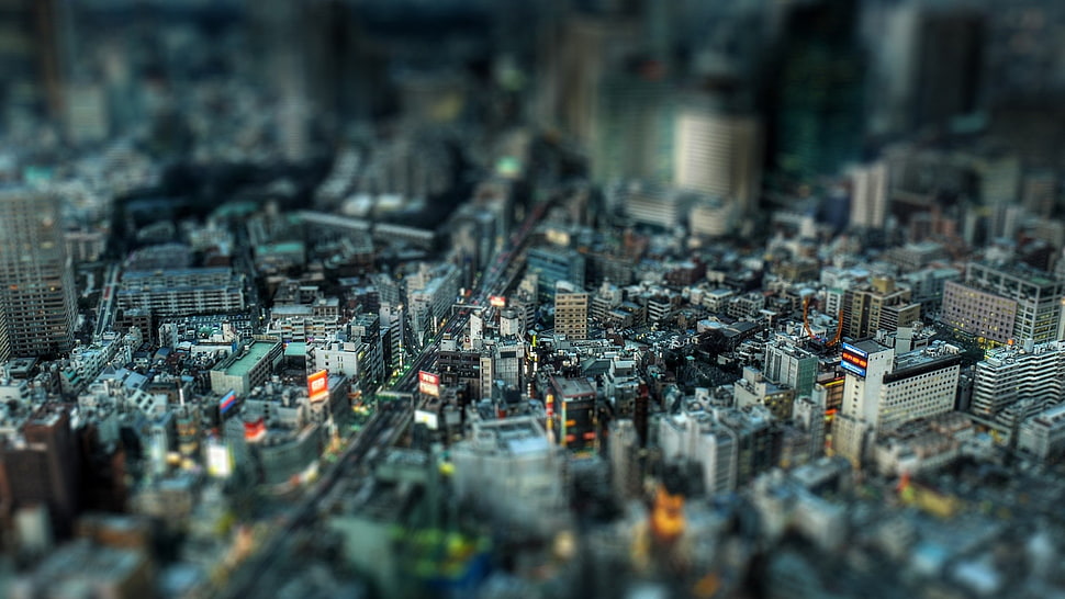 aerial view photo of city HD wallpaper