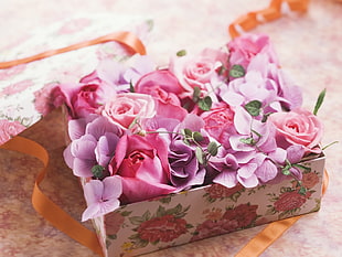 pink Hydrangeas with pink Roses in present box