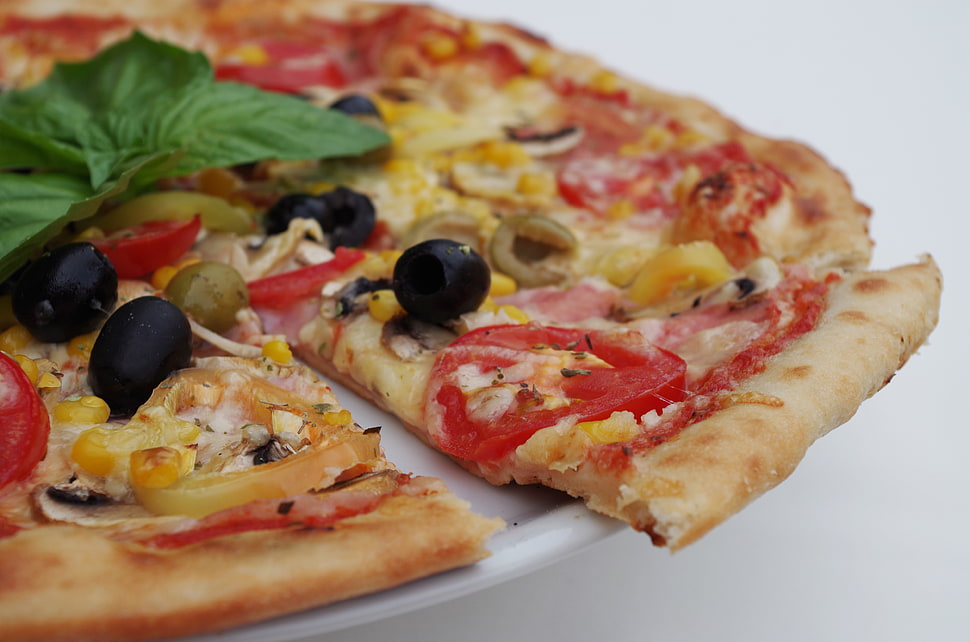 pizza in white ceramic plate HD wallpaper