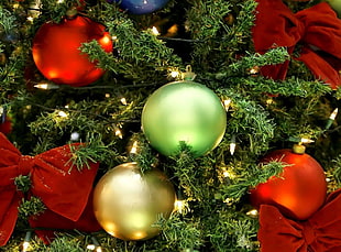 green Christmas bauble on lighted Christmas tree