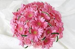 pink Daisy flowers bouquet HD wallpaper