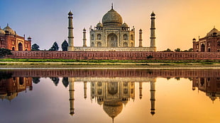 Taj Mahal, India, reflection, building, Taj Mahal, nature