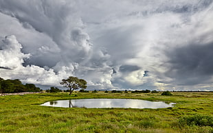 body of water surrounded by green grass field HD wallpaper