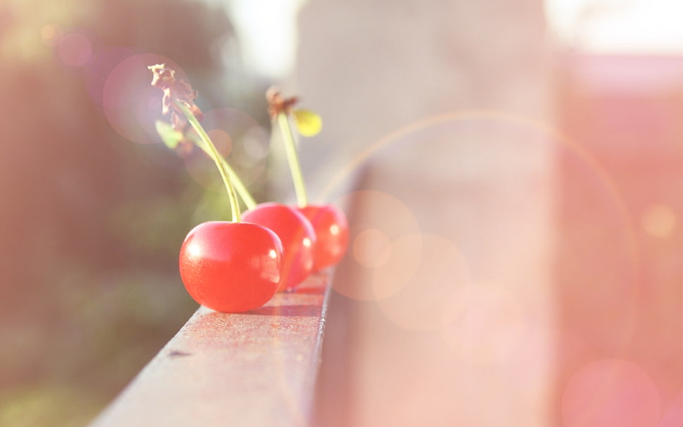 red cherry on gray surface HD wallpaper