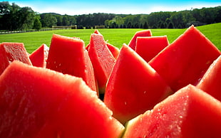 close up photography of watermelons HD wallpaper