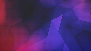 multicolored abstract digital wallpaper