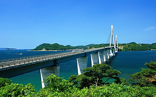 bridge during daytime