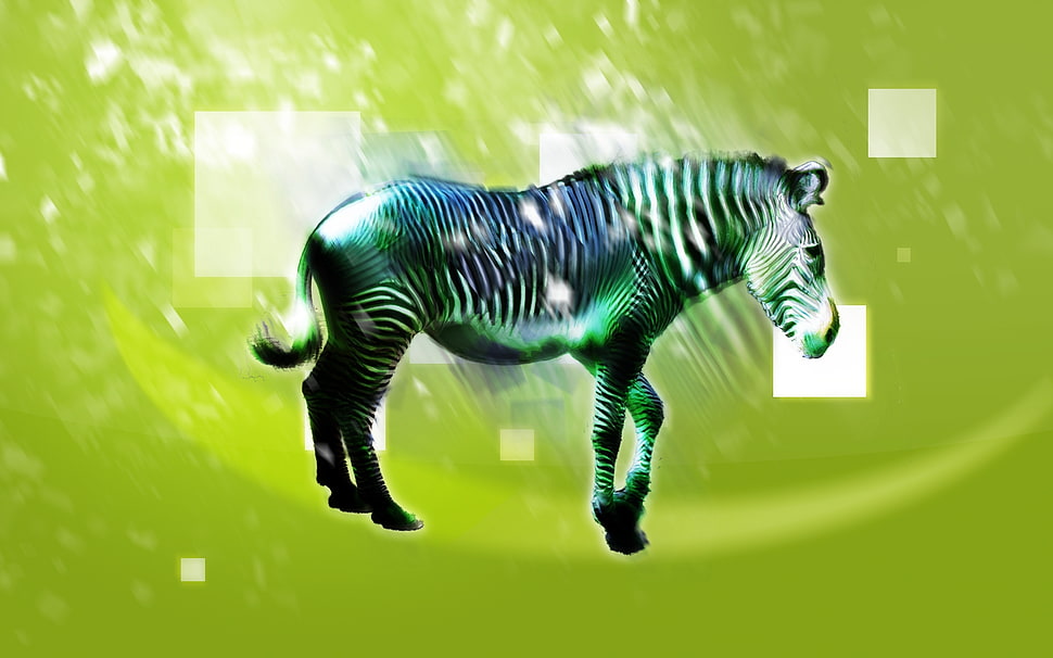 art photography zebra illustration HD wallpaper