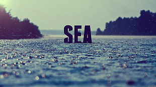 black Sea freestanding letters, blue, typography, rain, water