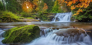 water falls, nature, landscape, waterfall, moss HD wallpaper