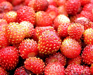 red Strawberries HD wallpaper