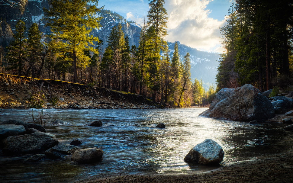 stones at river painting, nature, river, mountains, trees HD wallpaper