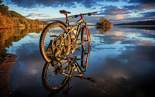 black, white, and orange mountain bike, bicycle, water, landscape, reflection