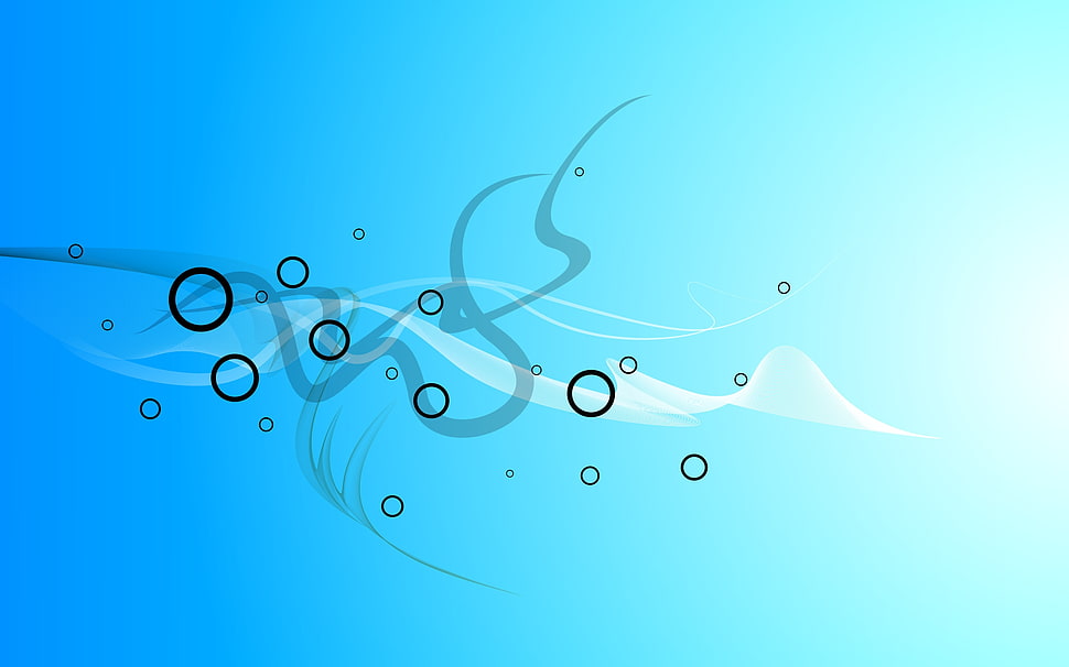 blue and white wall decoration HD wallpaper