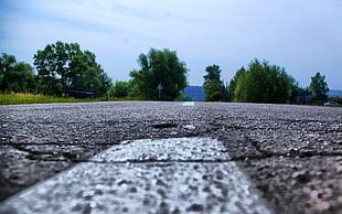 macro photography of black asphalt road during daytime