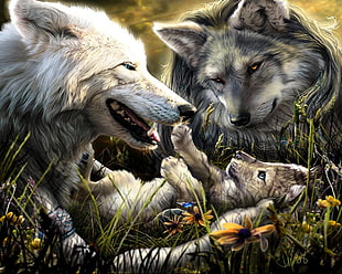 wolves family HD wallpaper