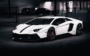 white and black convertible coupe, Lamborghini, Lamborghini Aventador, tron tuning, car HD wallpaper