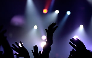 silhouette of crowd of people